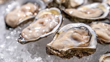 Raw oysters in their shells