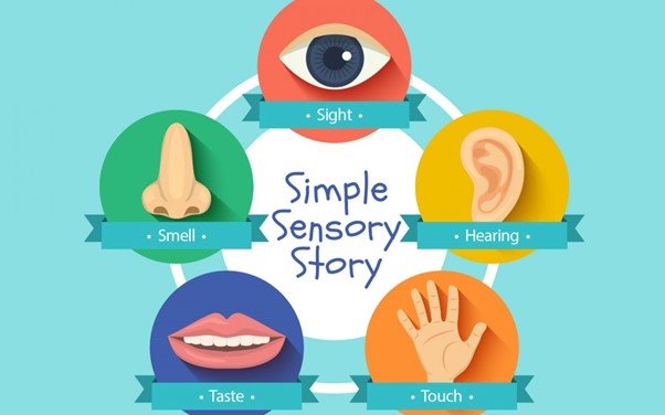 article thumb - Touch and Feel Storytelling