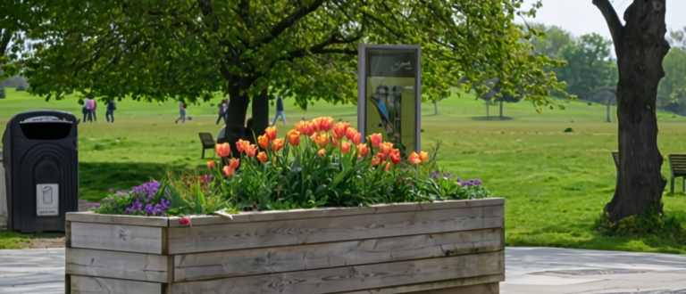 Burgess Park tulips