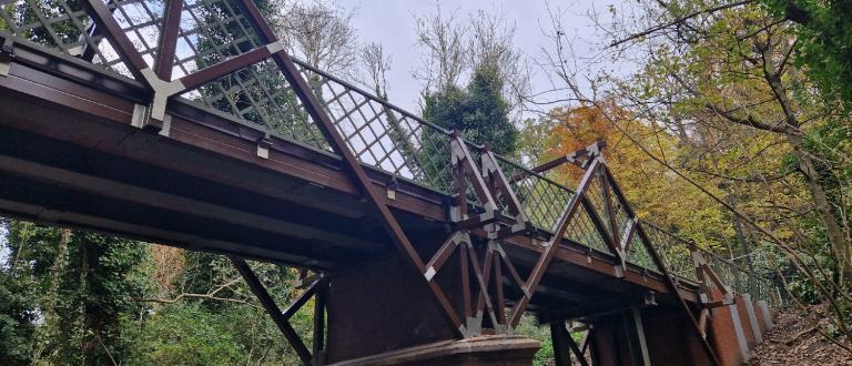 View of new Cox's Walk Bridge